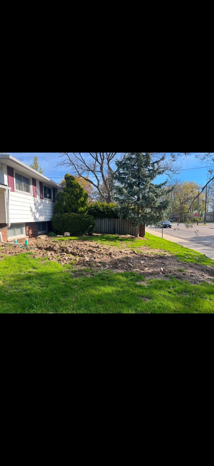 Full Lawn Restoration After Utility Work project photo