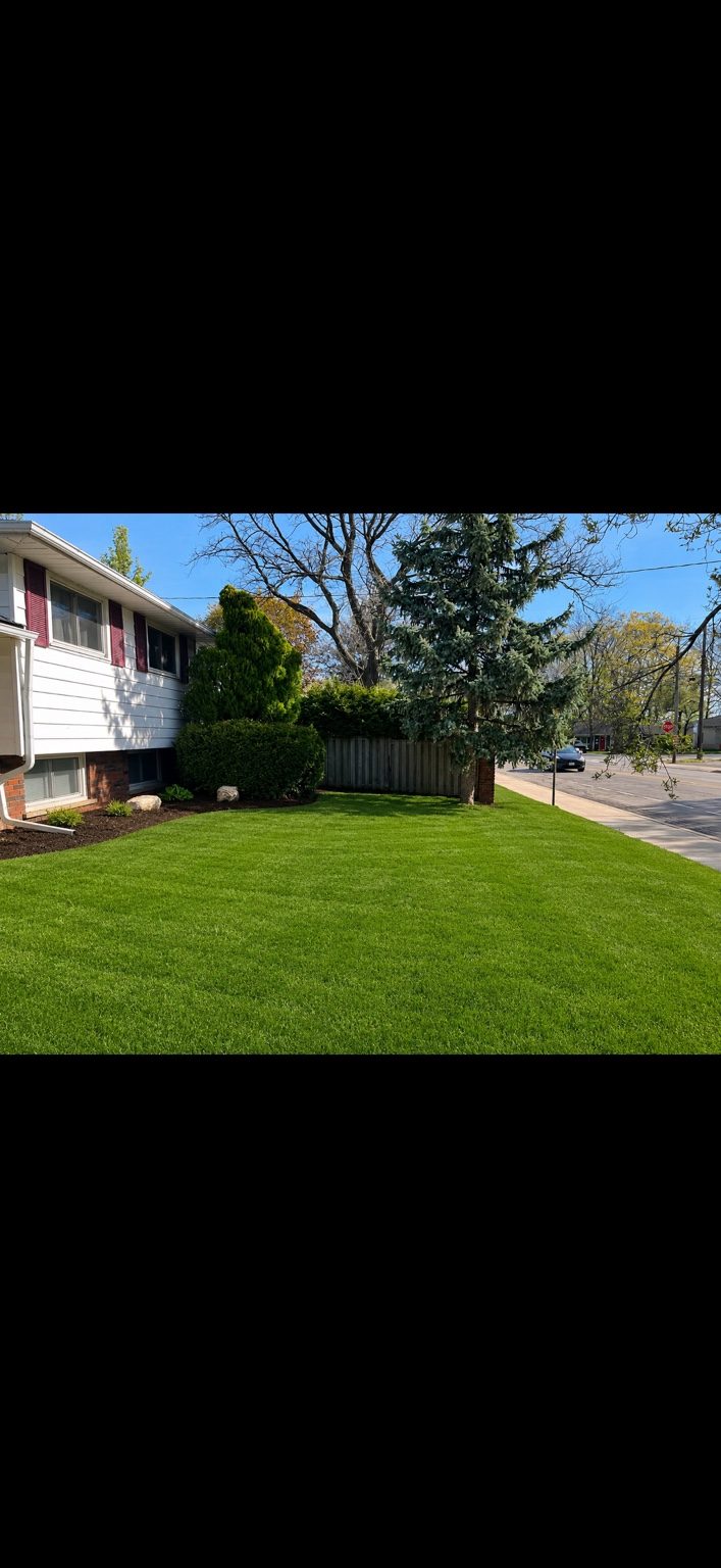 Full Lawn Restoration After Utility Work