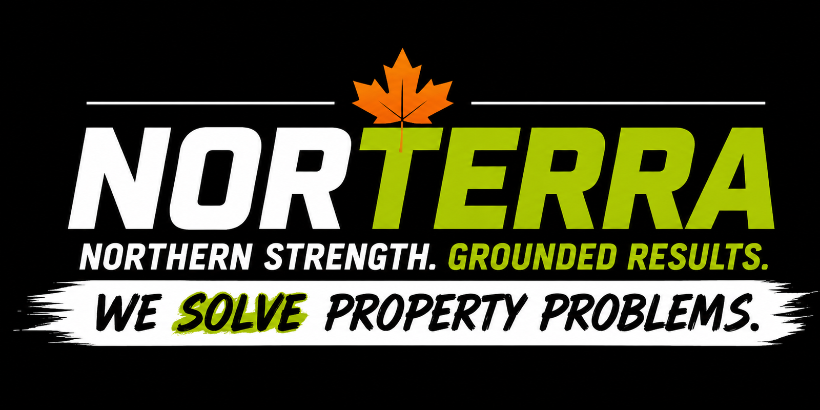 NorTerra logo