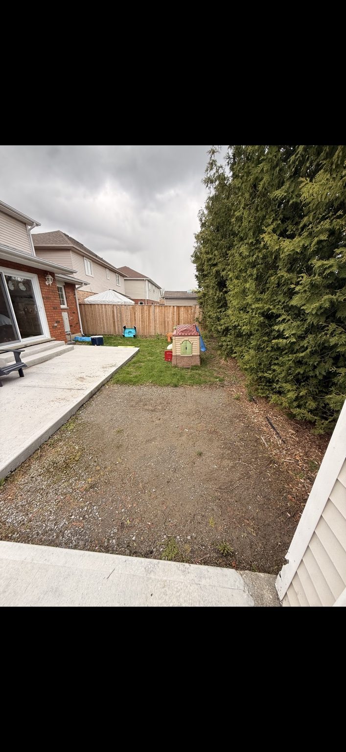Residential Yard Cleanup, Regrading & Sod project photo
