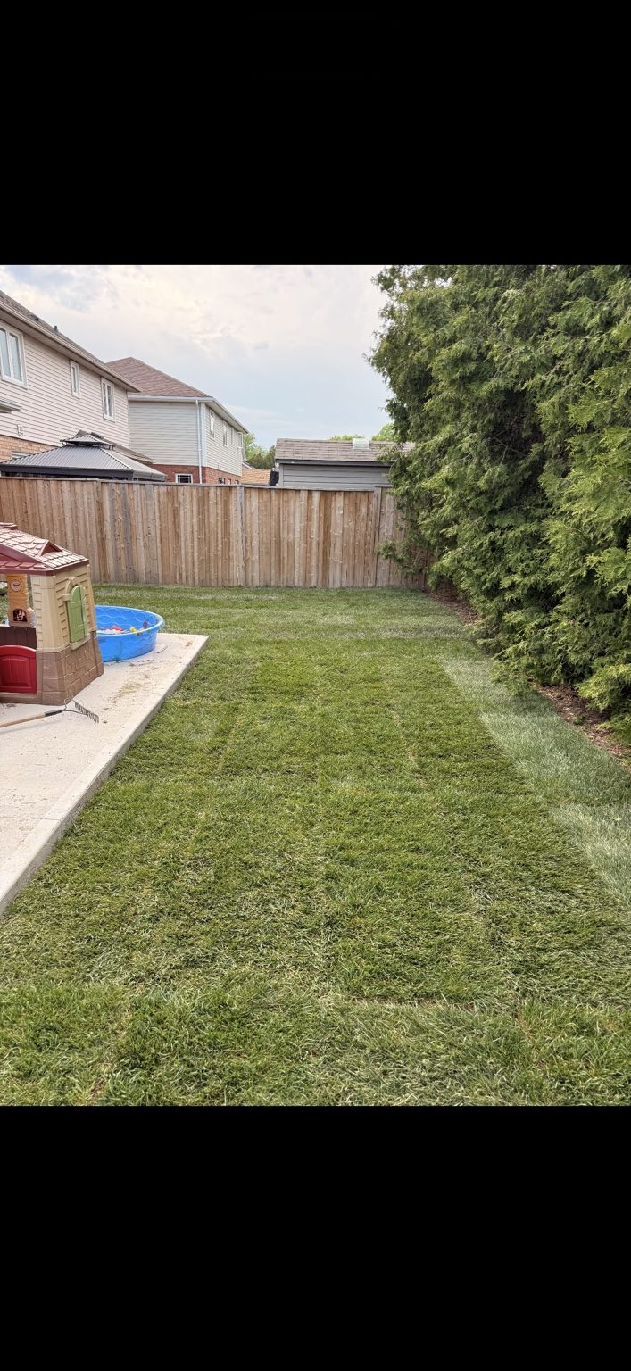 Residential Yard Cleanup, Regrading & Sod